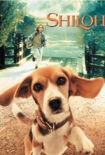 Watch Shiloh online free. Shiloh poster
