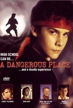 Watch A Dangerous Place online free.