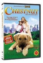 Смотреть Chestnut: Hero of Central Park онлайн бесплатно.