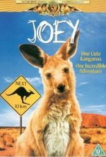 Watch Joey online free.
