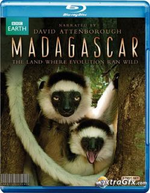 Watch Madagascar online free.