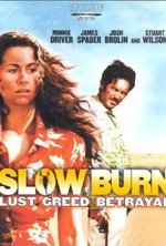 Watch Slow Burn online free.