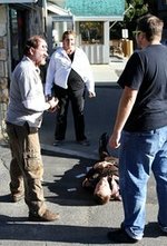 Watch Dead Stop online free.