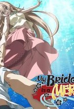 Watch Seto no hanayome online free.