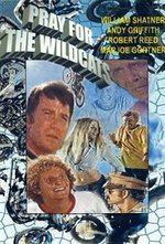 Watch Pray for the Wildcats online free.